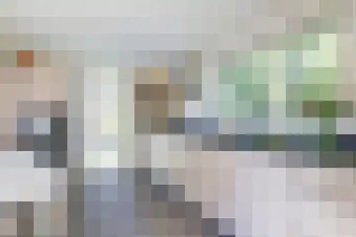 Binnenweg 37 Paasloo thumbnail 56
