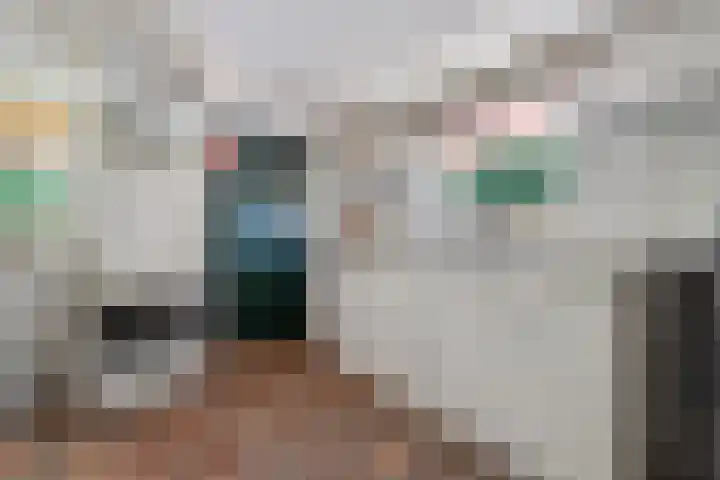 Binnenweg 37 Paasloo thumbnail 59