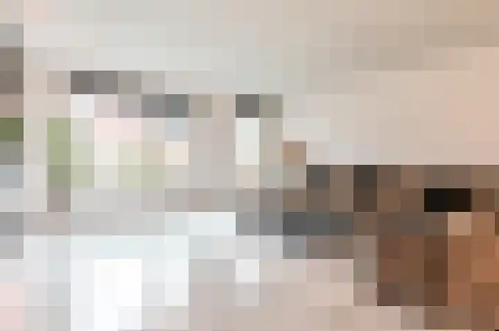 Binnenweg 37 Paasloo thumbnail 61