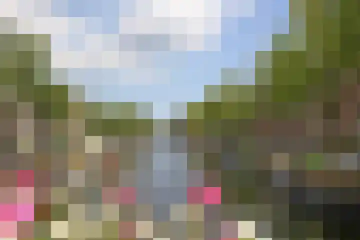 Binnenweg 37 Paasloo thumbnail 62