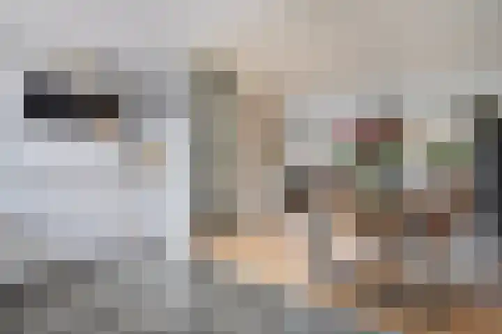 Binnenweg 37 Paasloo thumbnail 63