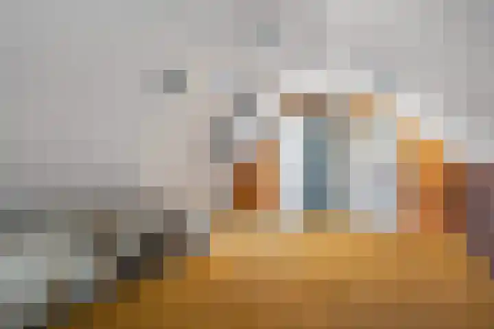 Binnenweg 37 Paasloo thumbnail 65