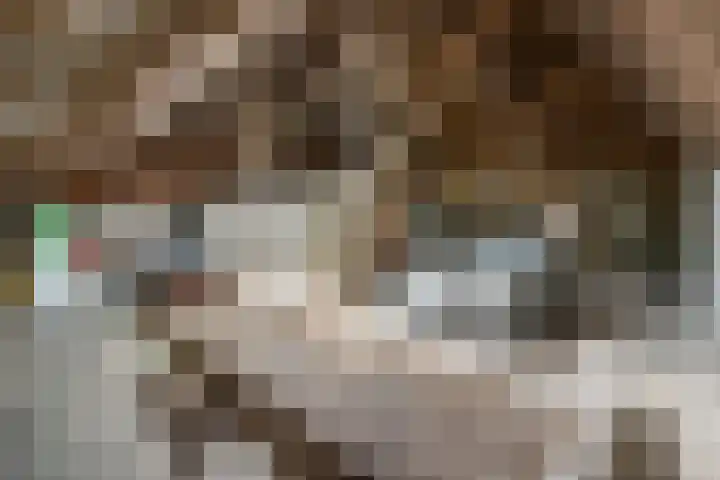 Binnenweg 37 Paasloo thumbnail 67