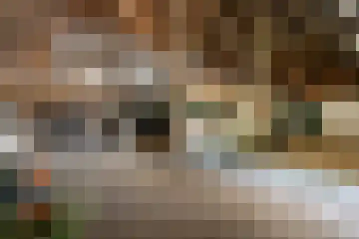Binnenweg 37 Paasloo thumbnail 69