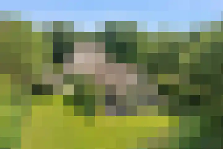 Binnenweg 37 Paasloo thumbnail 72
