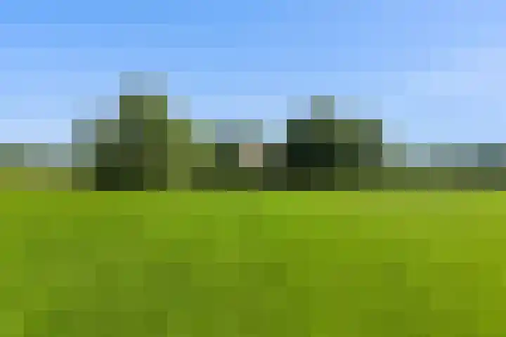 Binnenweg 37 Paasloo thumbnail 74