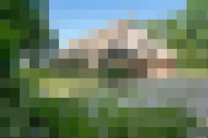 Binnenweg 37 Paasloo thumbnail 9