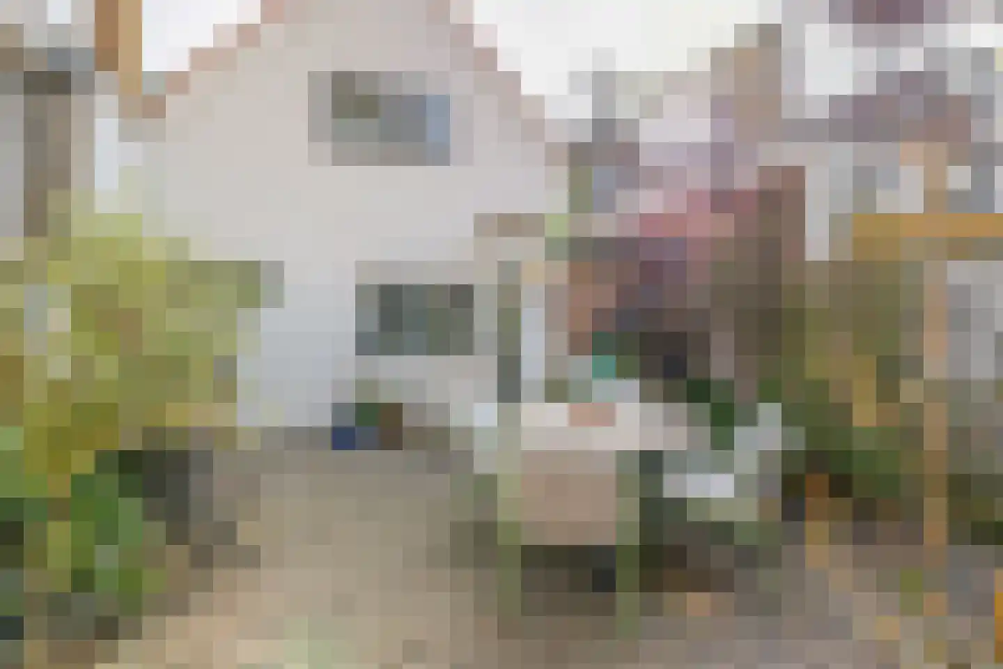 Binnenweg 37 Sommelsdijk thumbnail 28