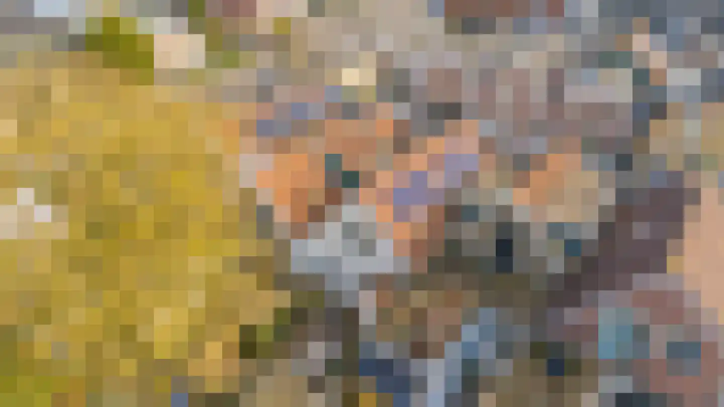 Binnenweg 37 Sommelsdijk thumbnail 31