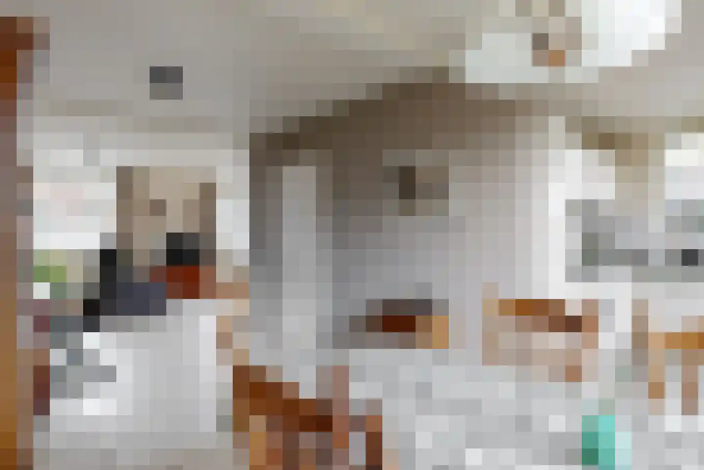 Binnenweg 38 Tiel thumbnail 10