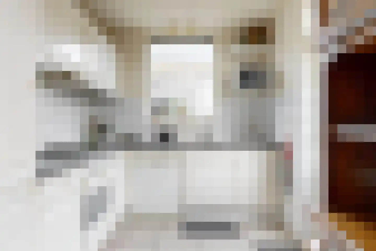 Binnenweg 38 Tiel thumbnail 11
