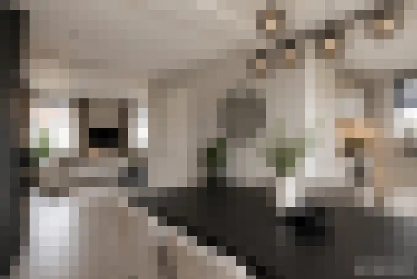 Binnenweg 38 Tiel thumbnail 12