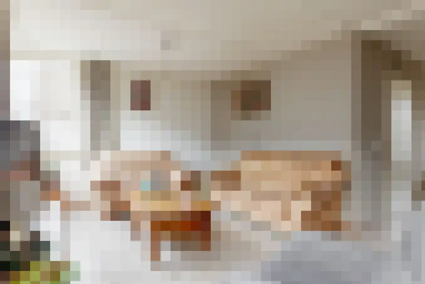 Binnenweg 38 Tiel thumbnail 4