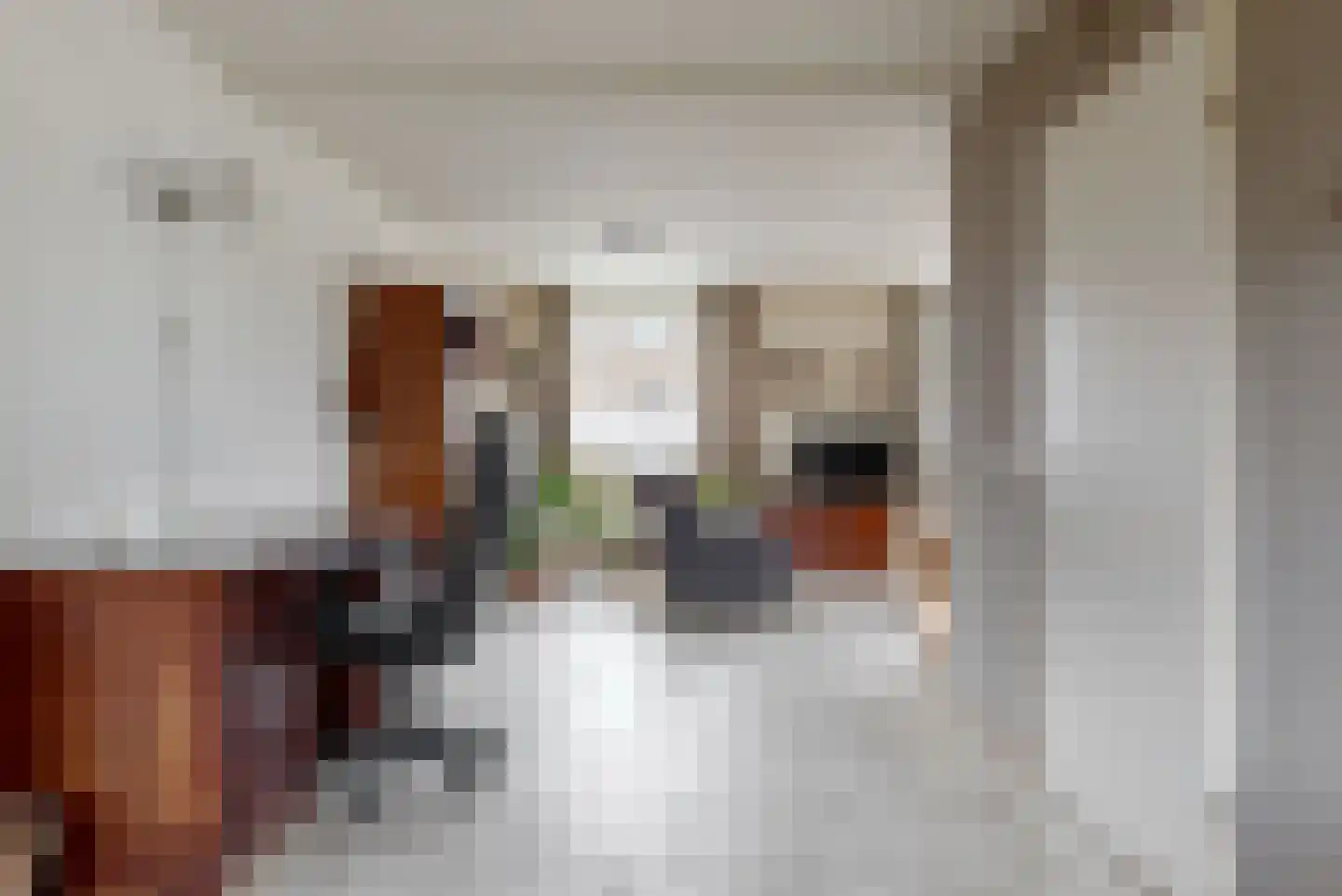 Binnenweg 38 Tiel thumbnail 9