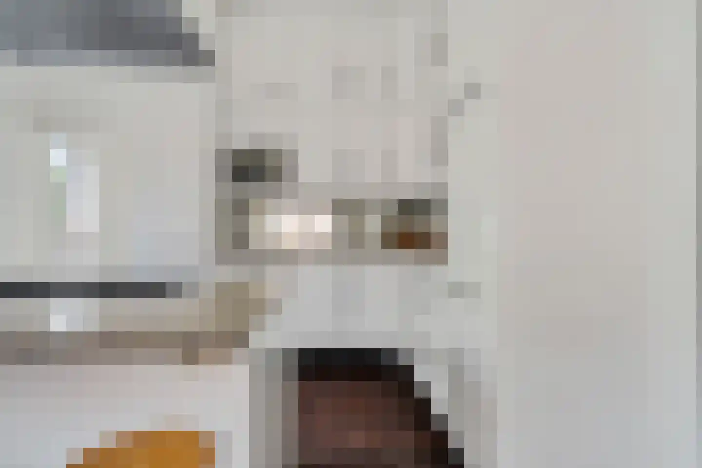 Binnenweg 39 Paasloo thumbnail 22
