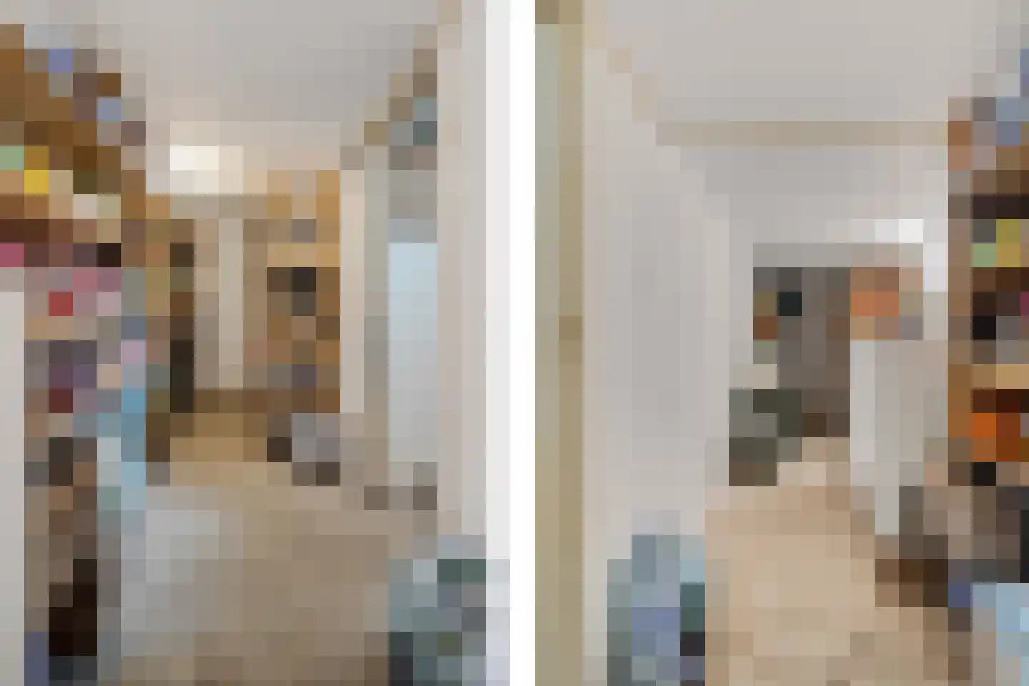Binnenweg 39 Paasloo thumbnail 25