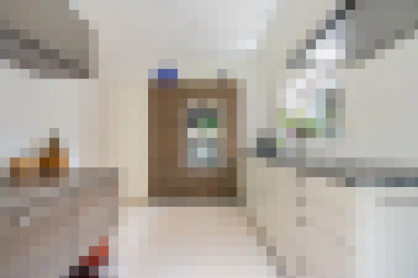Binnenweg 39 Paasloo thumbnail 27