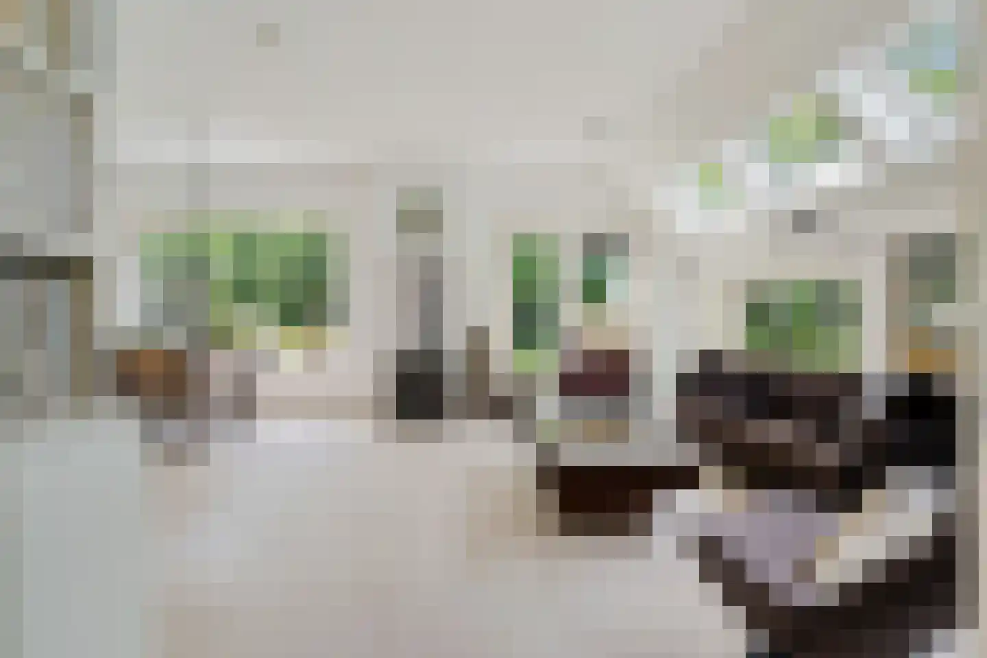 Binnenweg 39 Paasloo thumbnail 30