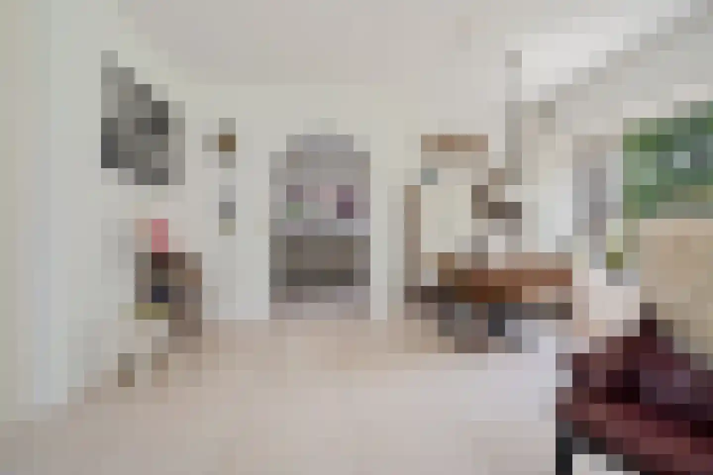 Binnenweg 39 Paasloo thumbnail 31