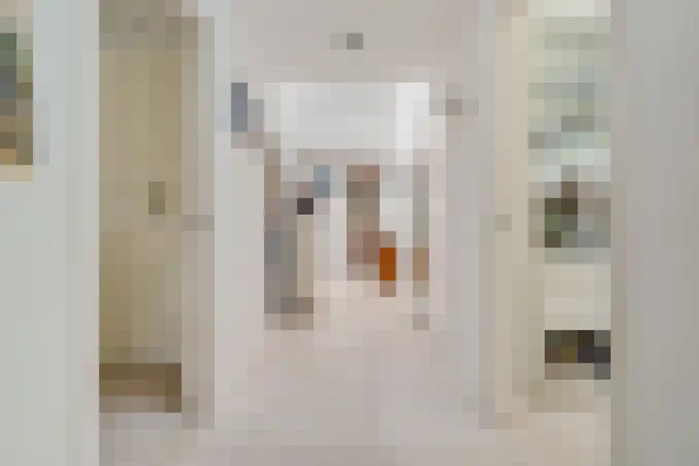 Binnenweg 39 Paasloo thumbnail 32