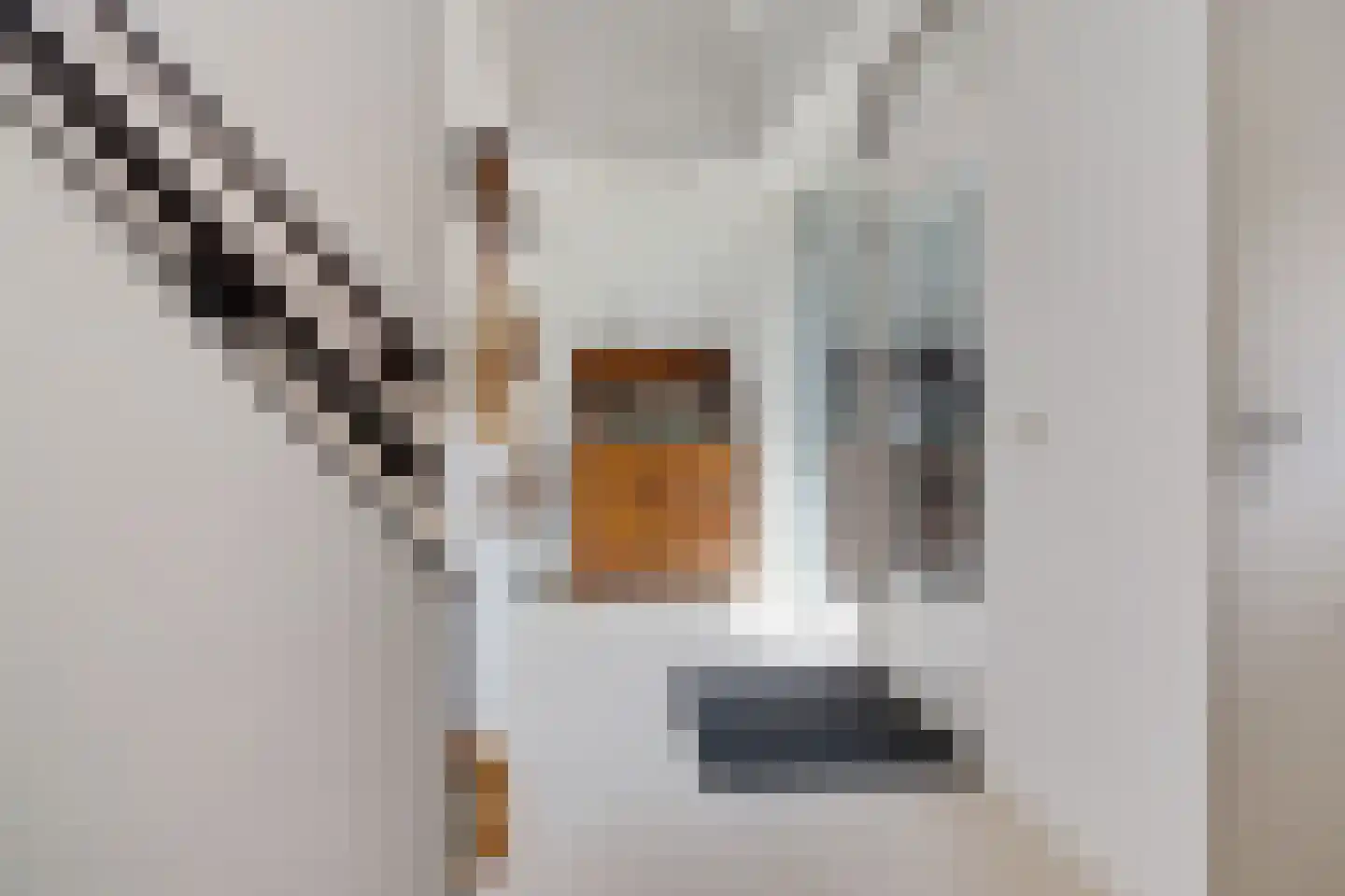 Binnenweg 39 Paasloo thumbnail 33