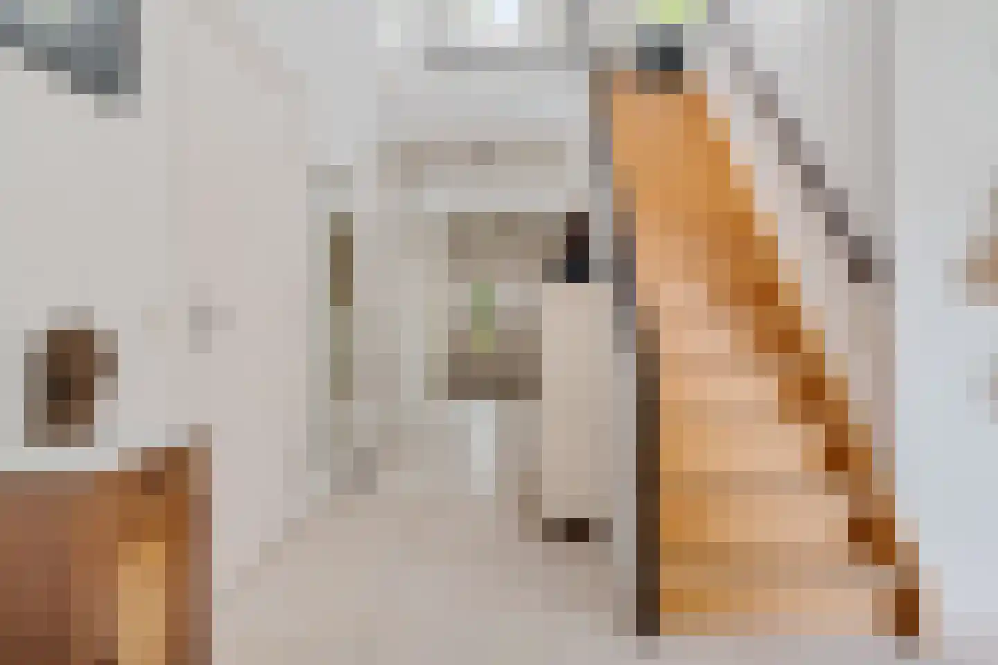 Binnenweg 39 Paasloo thumbnail 34