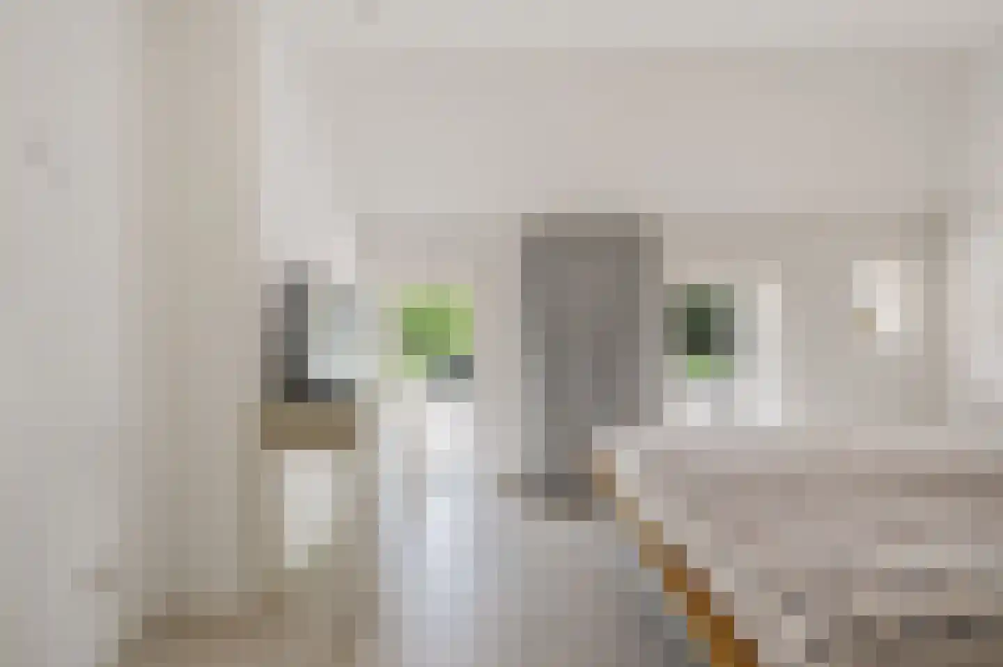 Binnenweg 39 Paasloo thumbnail 37