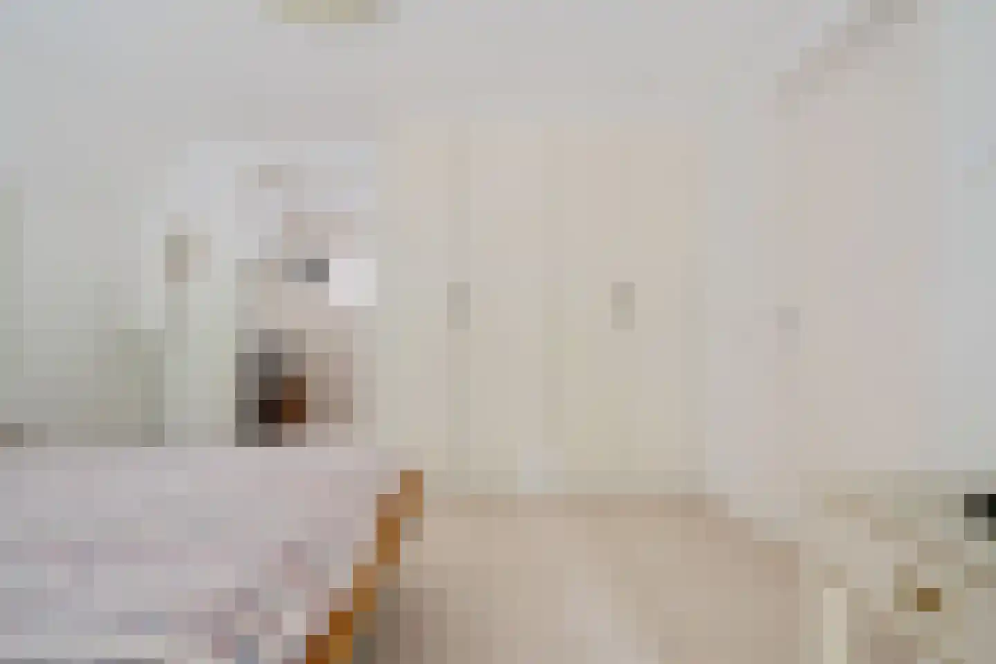 Binnenweg 39 Paasloo thumbnail 38