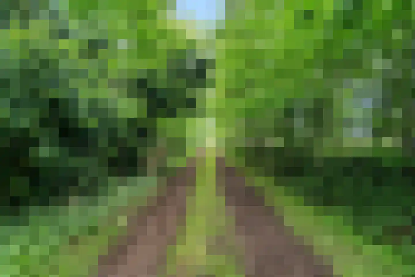 Binnenweg 39 Paasloo thumbnail 4