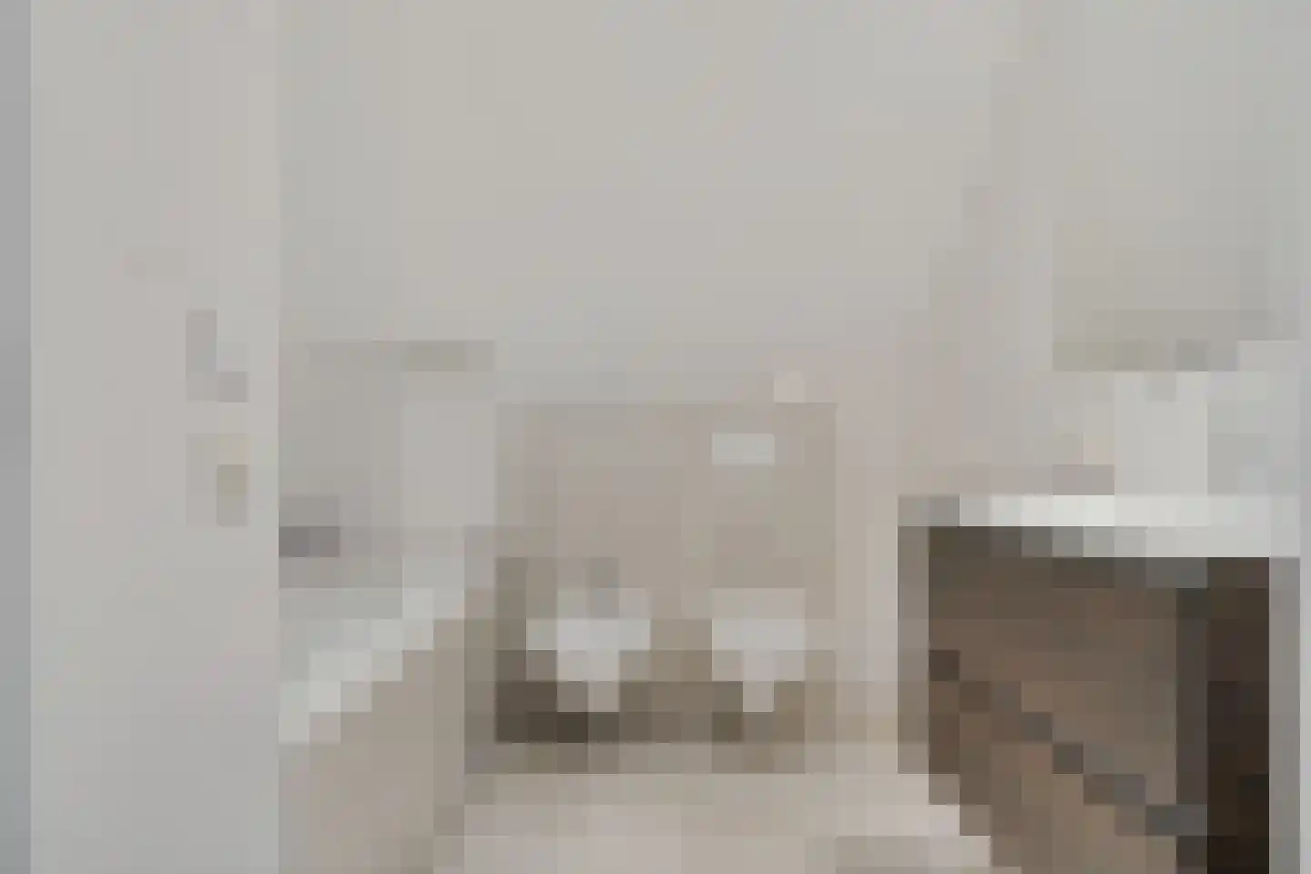 Binnenweg 39 Paasloo thumbnail 47