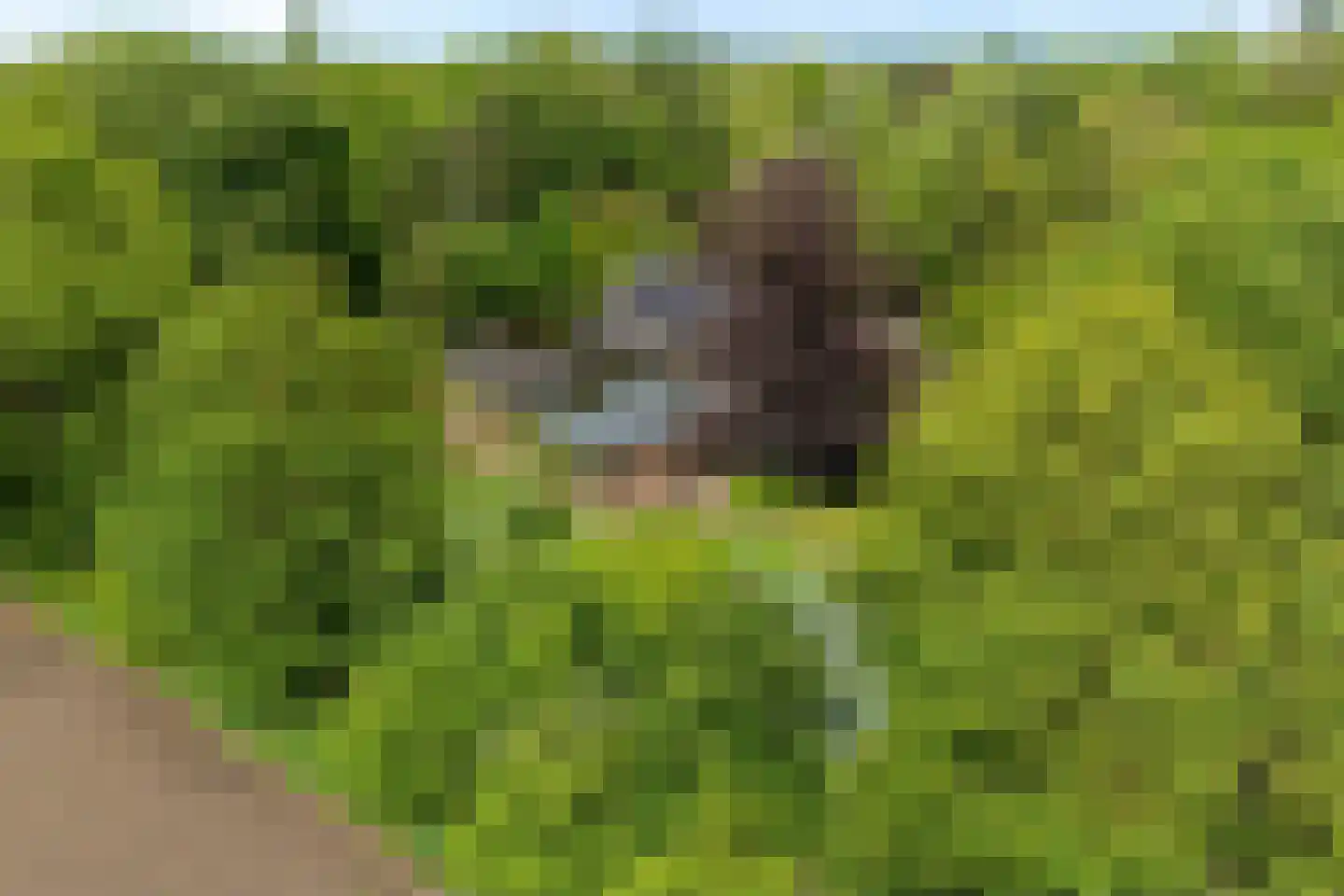 Binnenweg 39 Paasloo thumbnail 52
