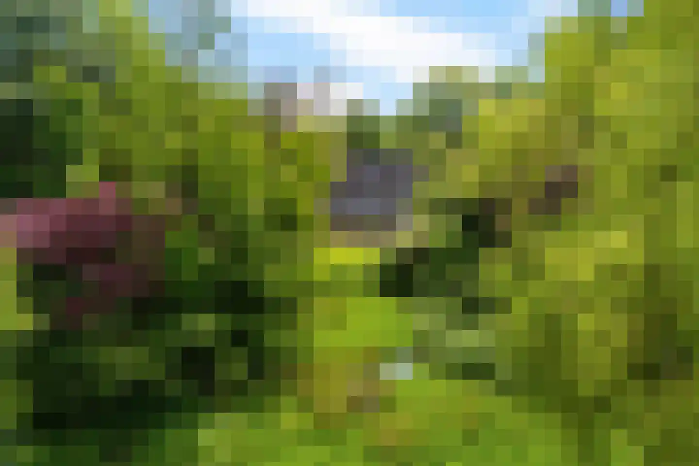 Binnenweg 39 Paasloo thumbnail 53