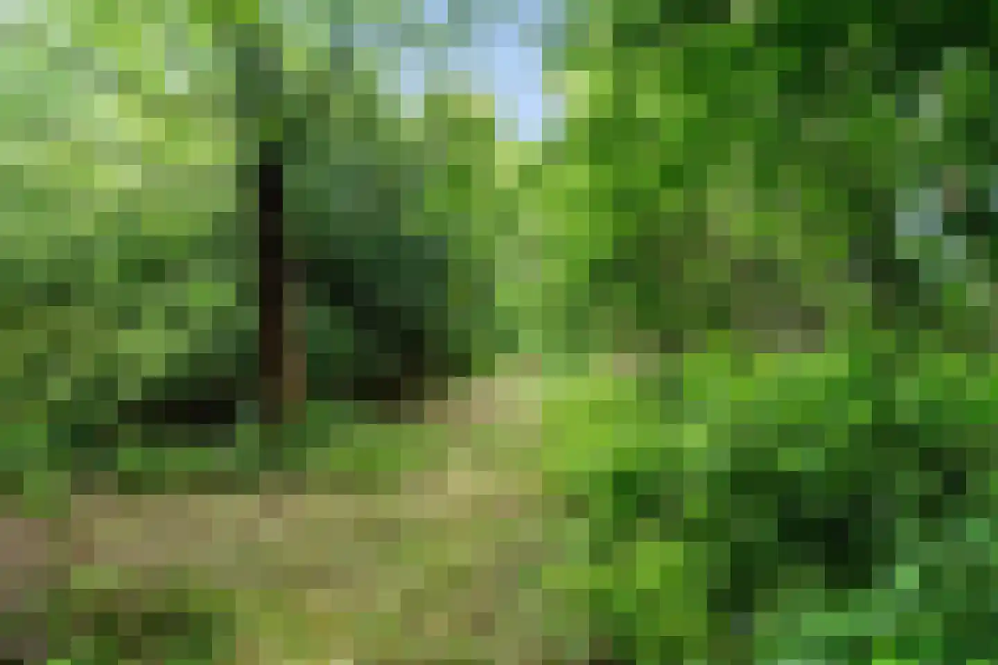 Binnenweg 39 Paasloo thumbnail 55