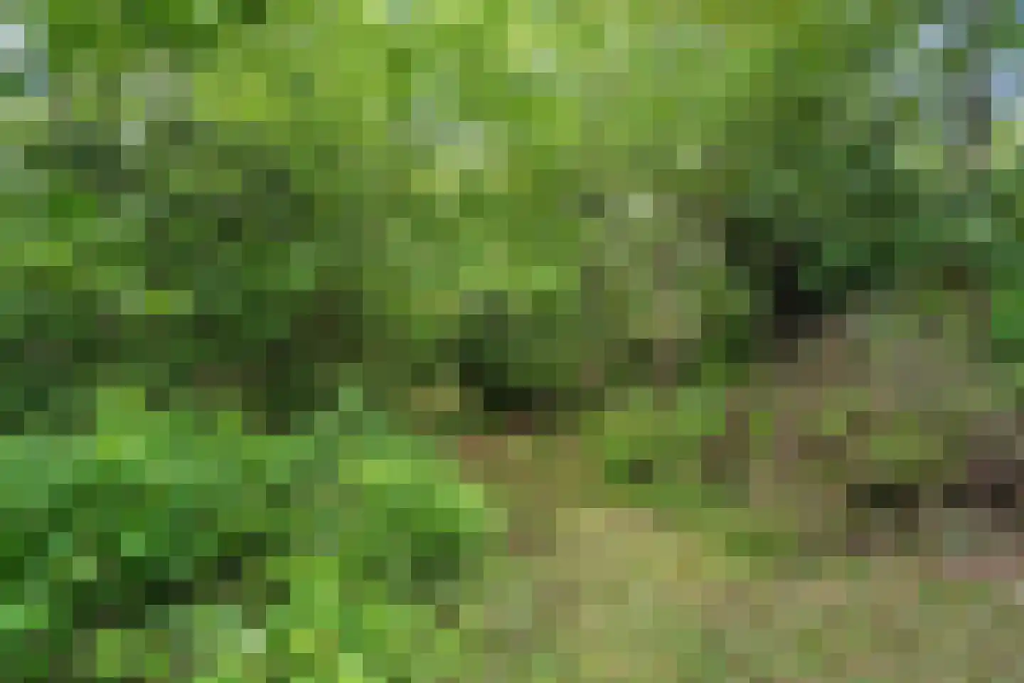 Binnenweg 39 Paasloo thumbnail 56