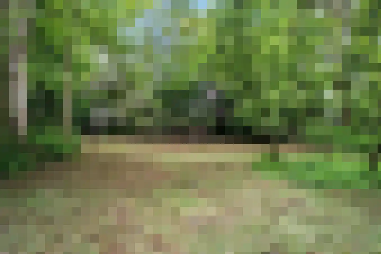 Binnenweg 39 Paasloo thumbnail 57