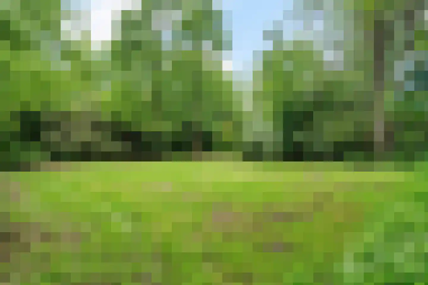 Binnenweg 39 Paasloo thumbnail 58