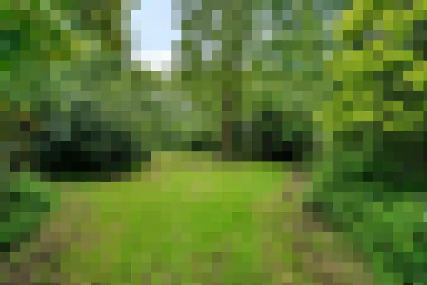Binnenweg 39 Paasloo thumbnail 59