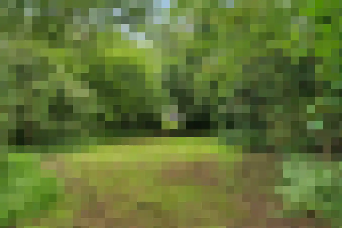 Binnenweg 39 Paasloo thumbnail 60