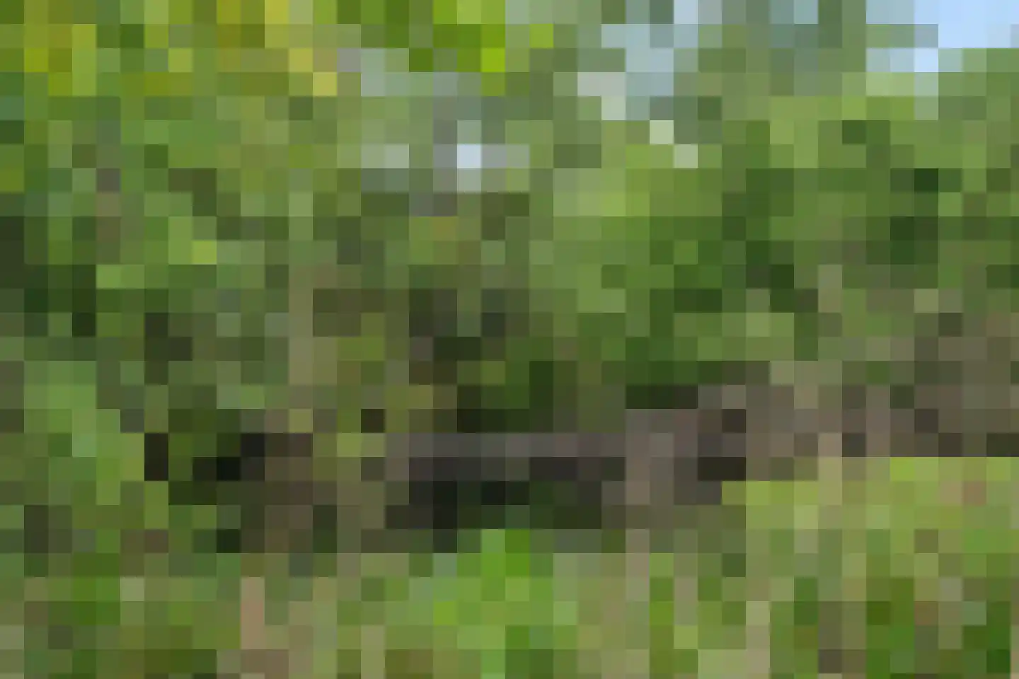 Binnenweg 39 Paasloo thumbnail 61
