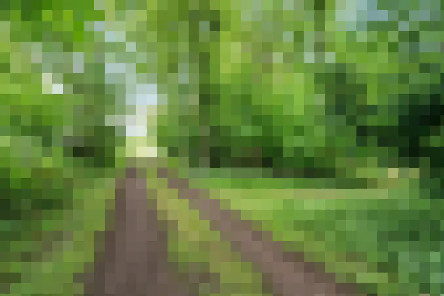 Binnenweg 39 Paasloo thumbnail 62