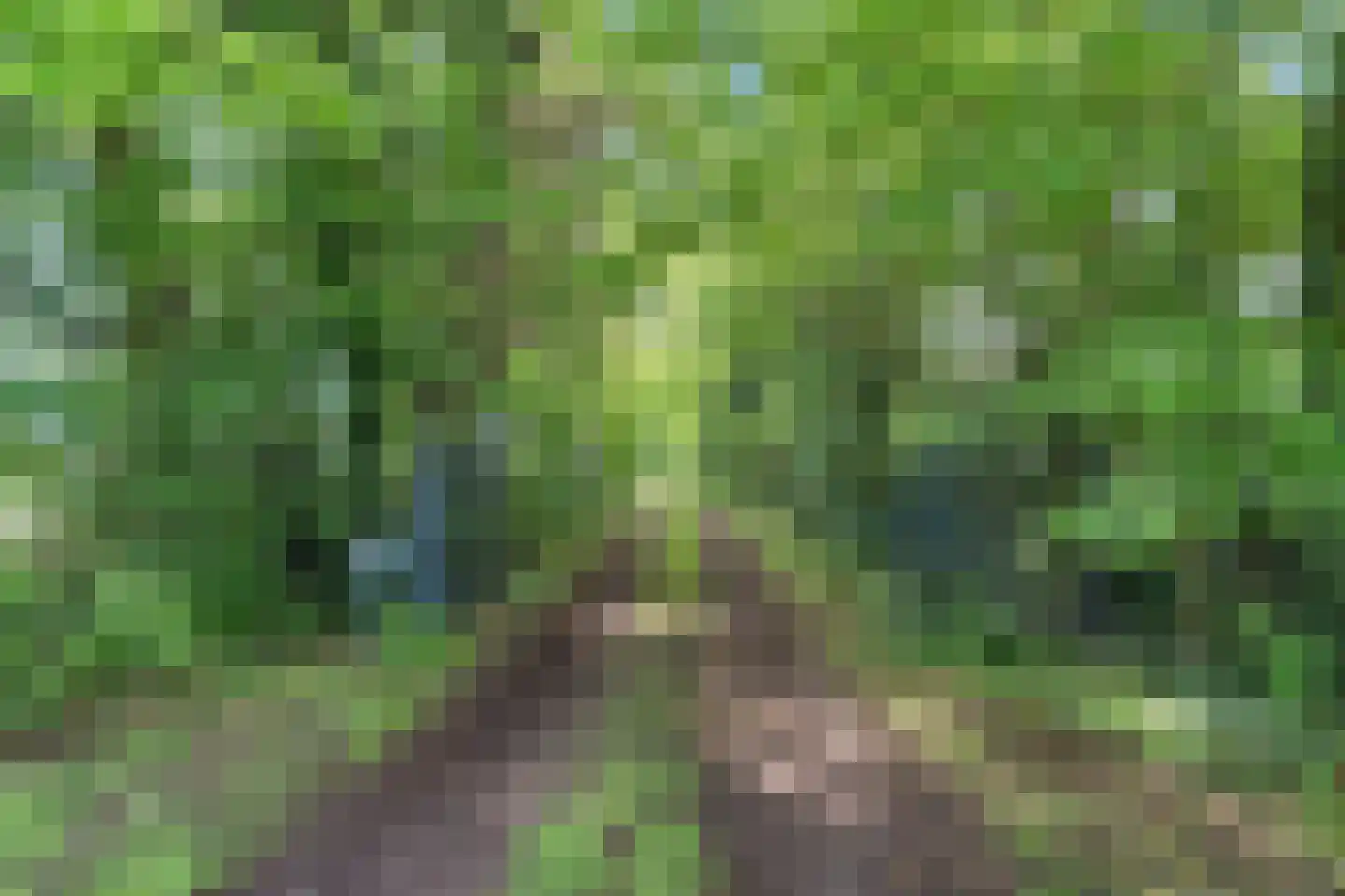 Binnenweg 39 Paasloo thumbnail 63