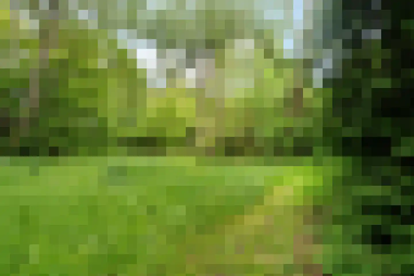 Binnenweg 39 Paasloo thumbnail 64