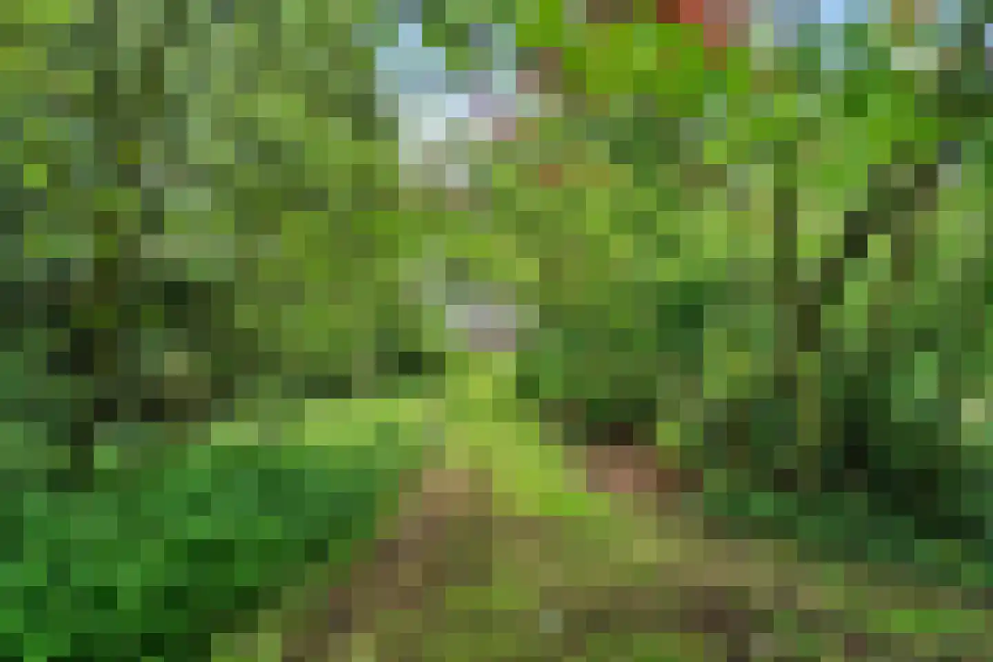 Binnenweg 39 Paasloo thumbnail 65