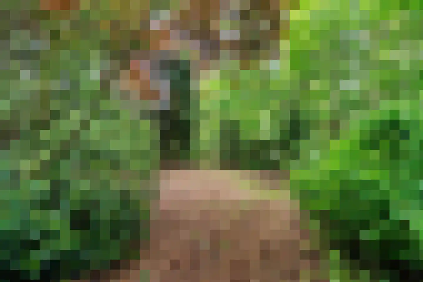Binnenweg 39 Paasloo thumbnail 66