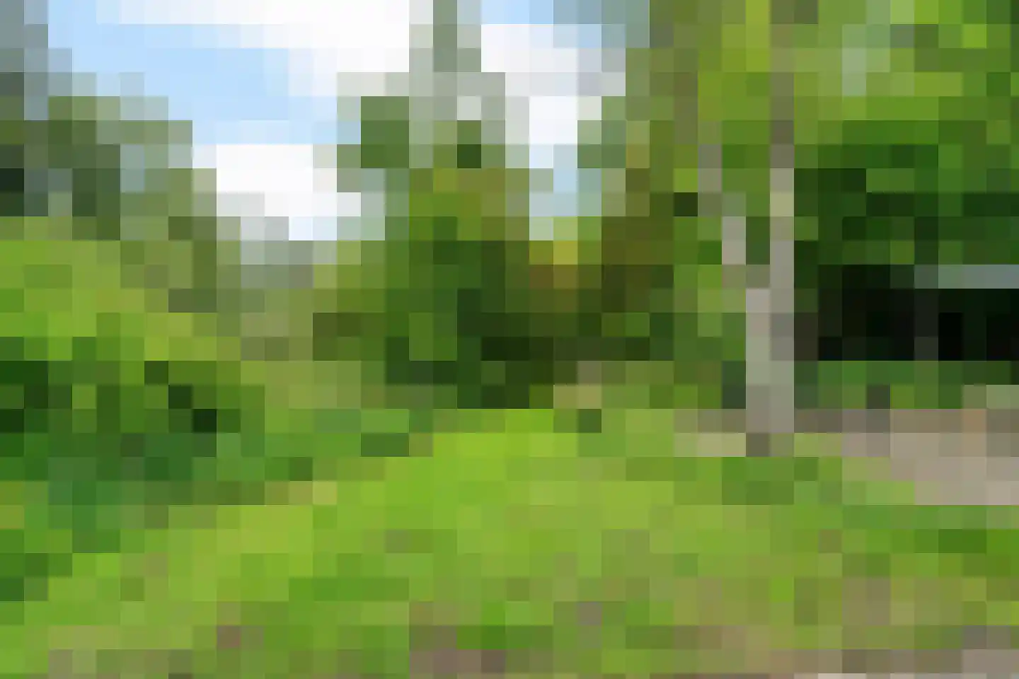 Binnenweg 39 Paasloo thumbnail 7