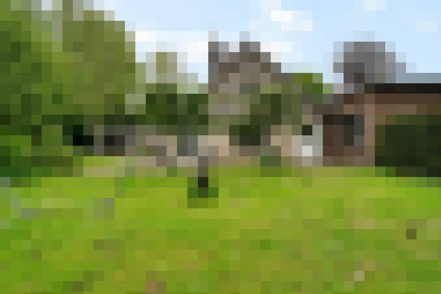 Binnenweg 39 Paasloo thumbnail 8