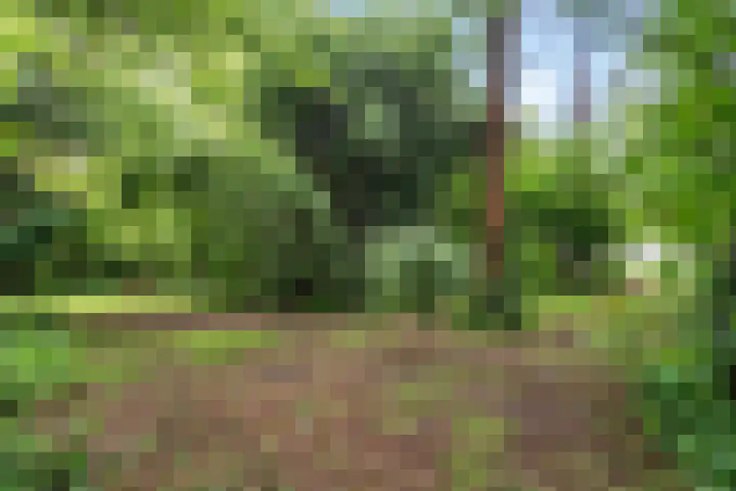 Binnenweg 39 Paasloo thumbnail 9