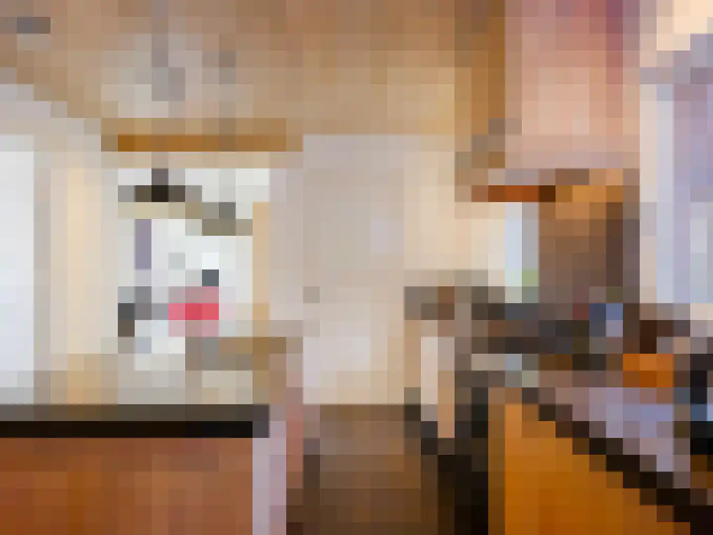 Binnenweg 4 Aardenburg thumbnail 16