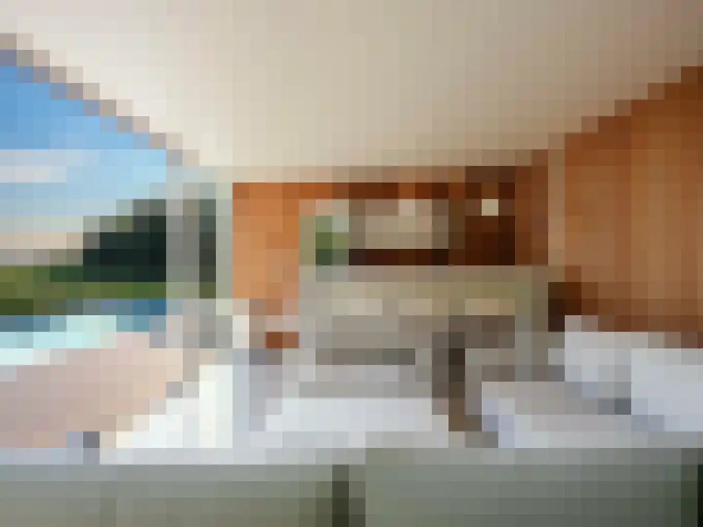 Binnenweg 4 Aardenburg thumbnail 40