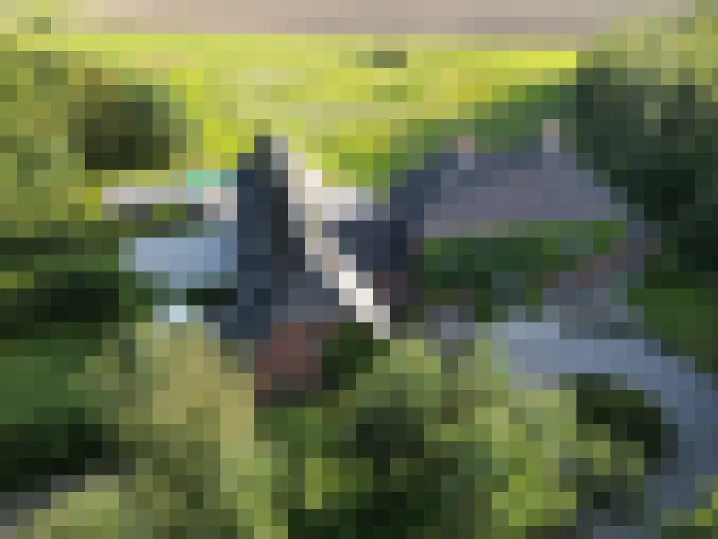 Binnenweg 4 Aardenburg thumbnail 45